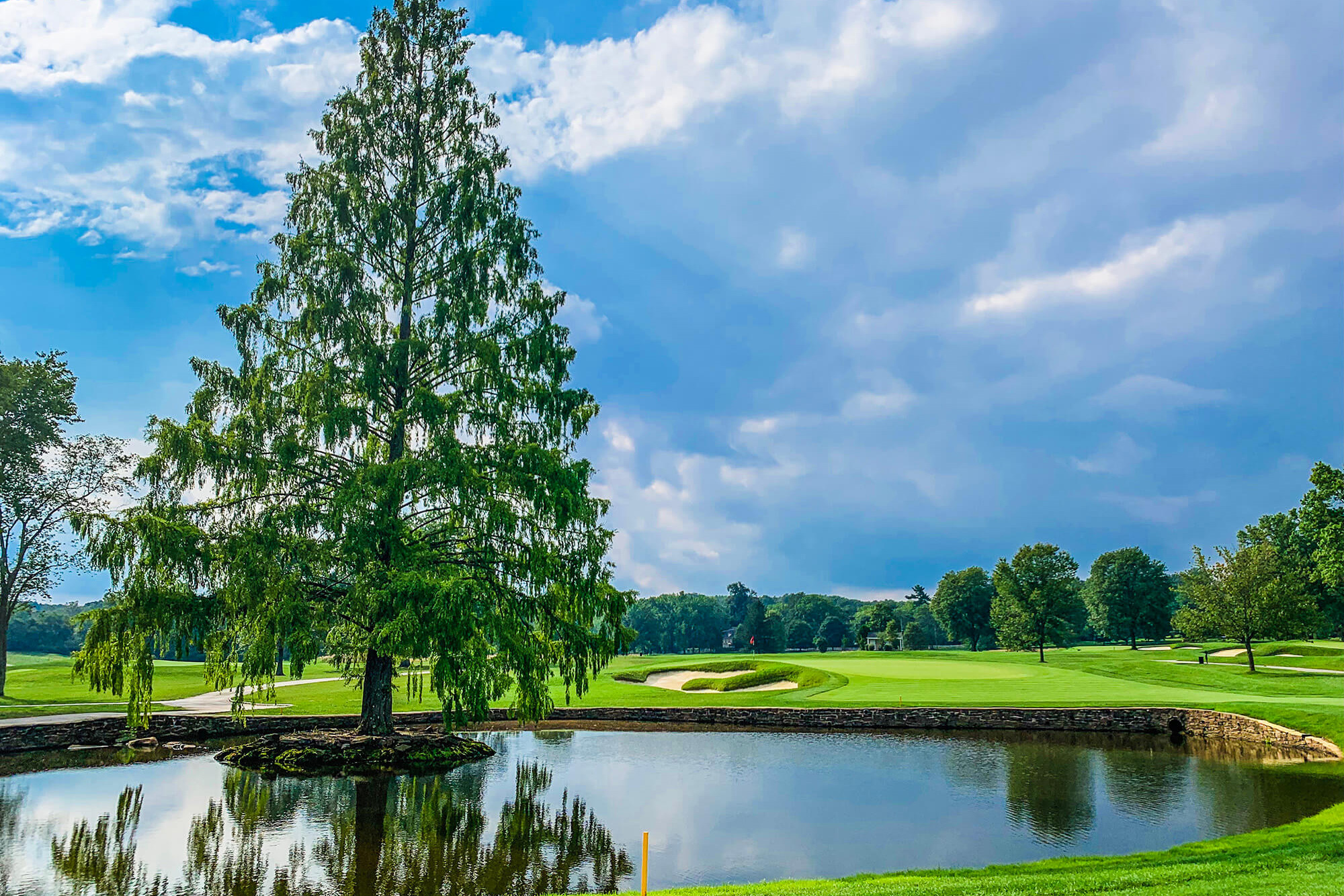 wcc1965.org — Ladies 9 Member-Guest