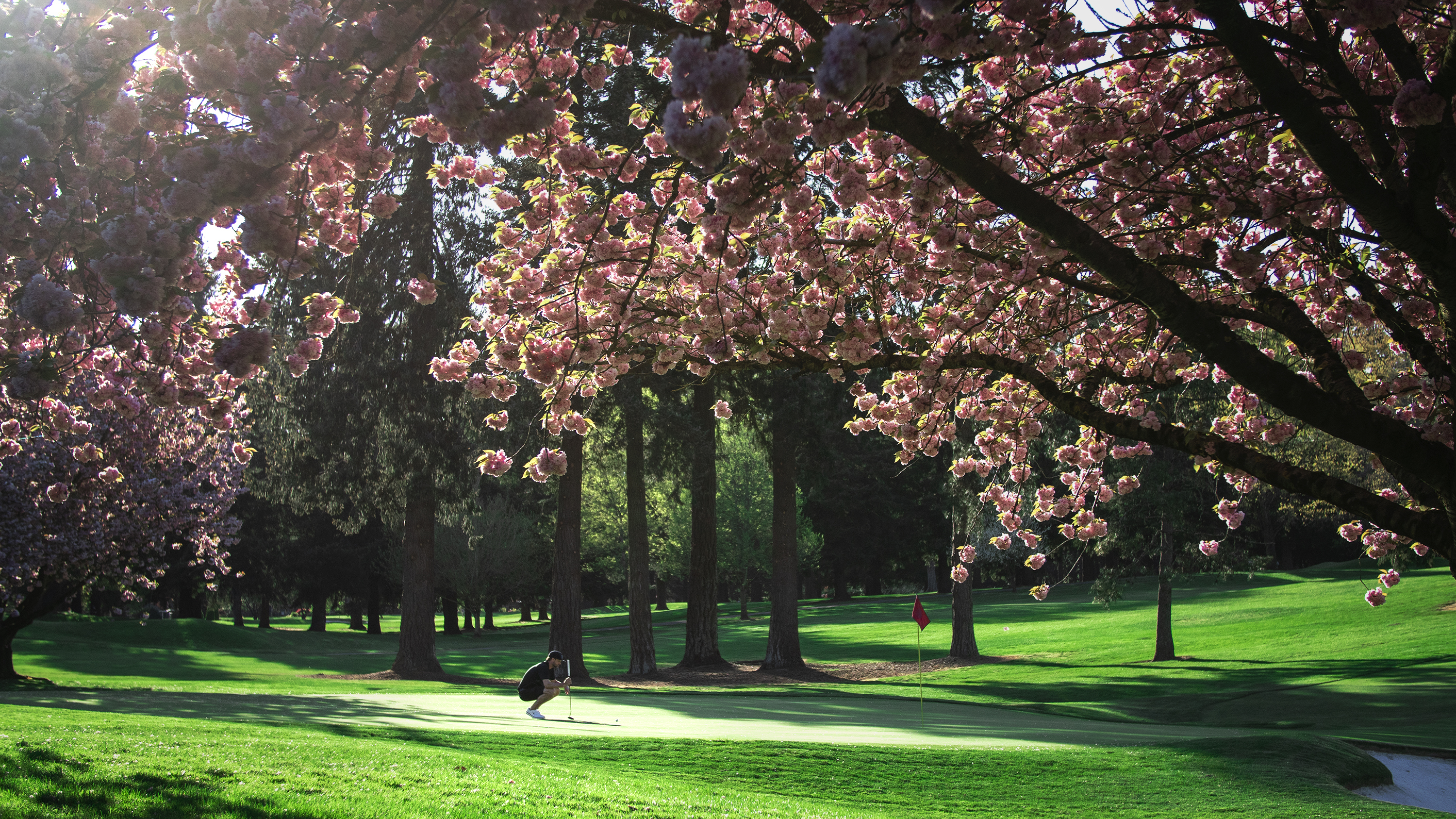 Tualatin Country Club — Ladies Member-Guest