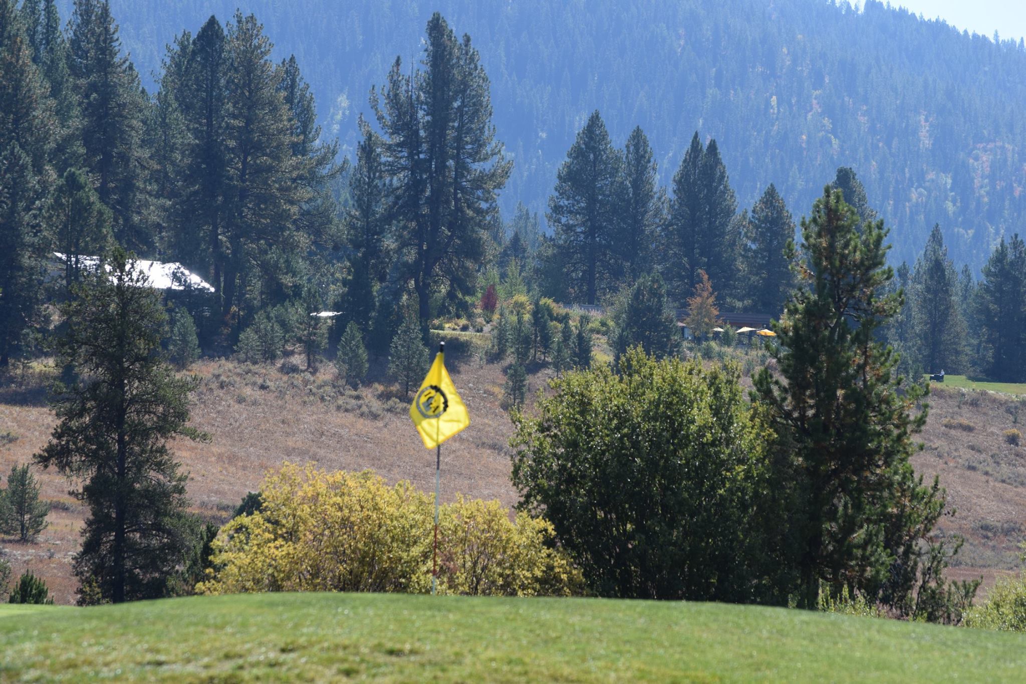 idahoga.org — eClub Member/Guest