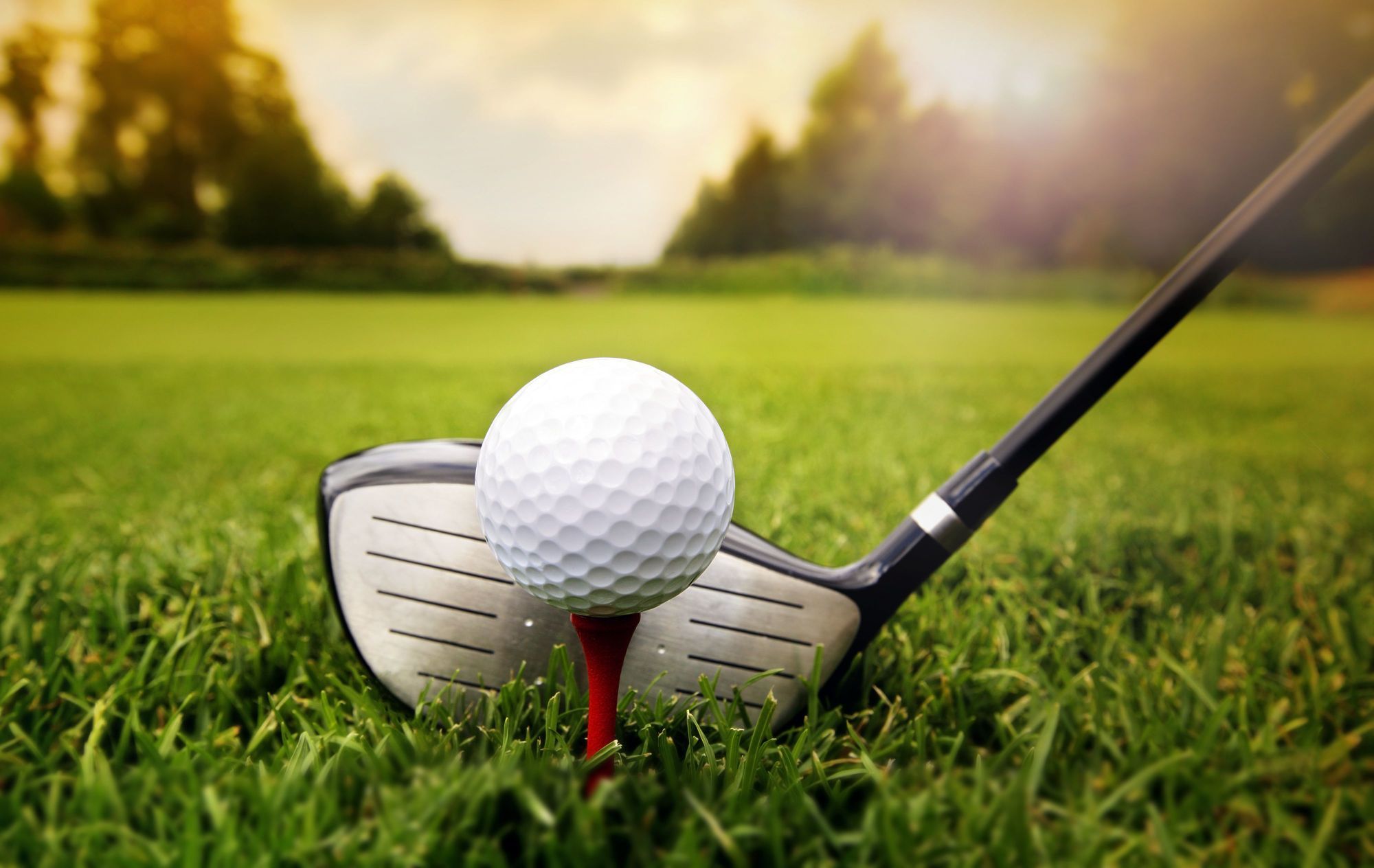 quailridgecc.com — Ladies Member-Guest