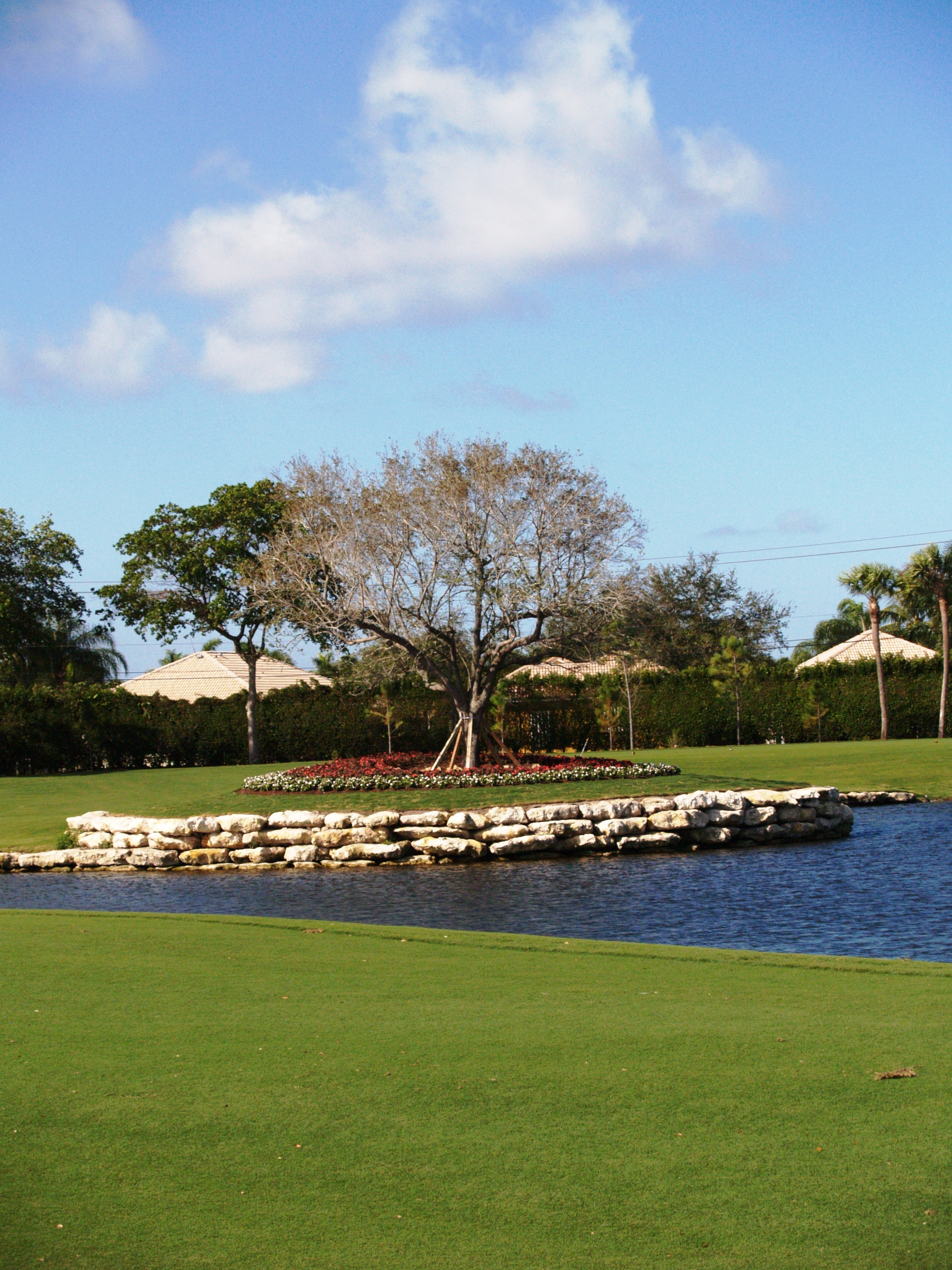 gleneagles.cc — Ladies 18 Member-Guest