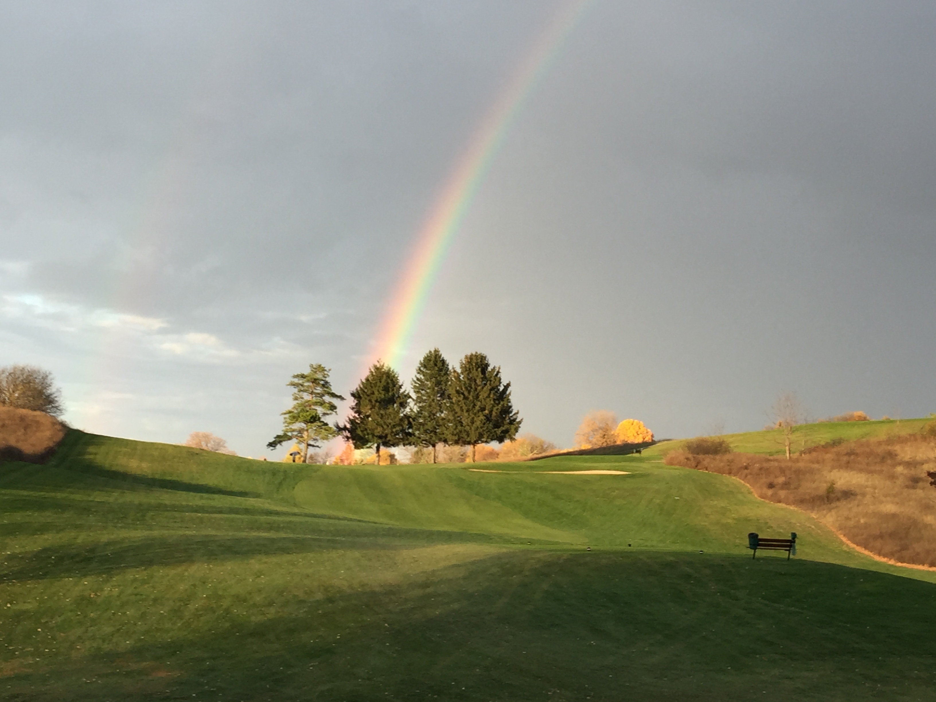 drumlins.com — Men's Senior League Member/Guest '25