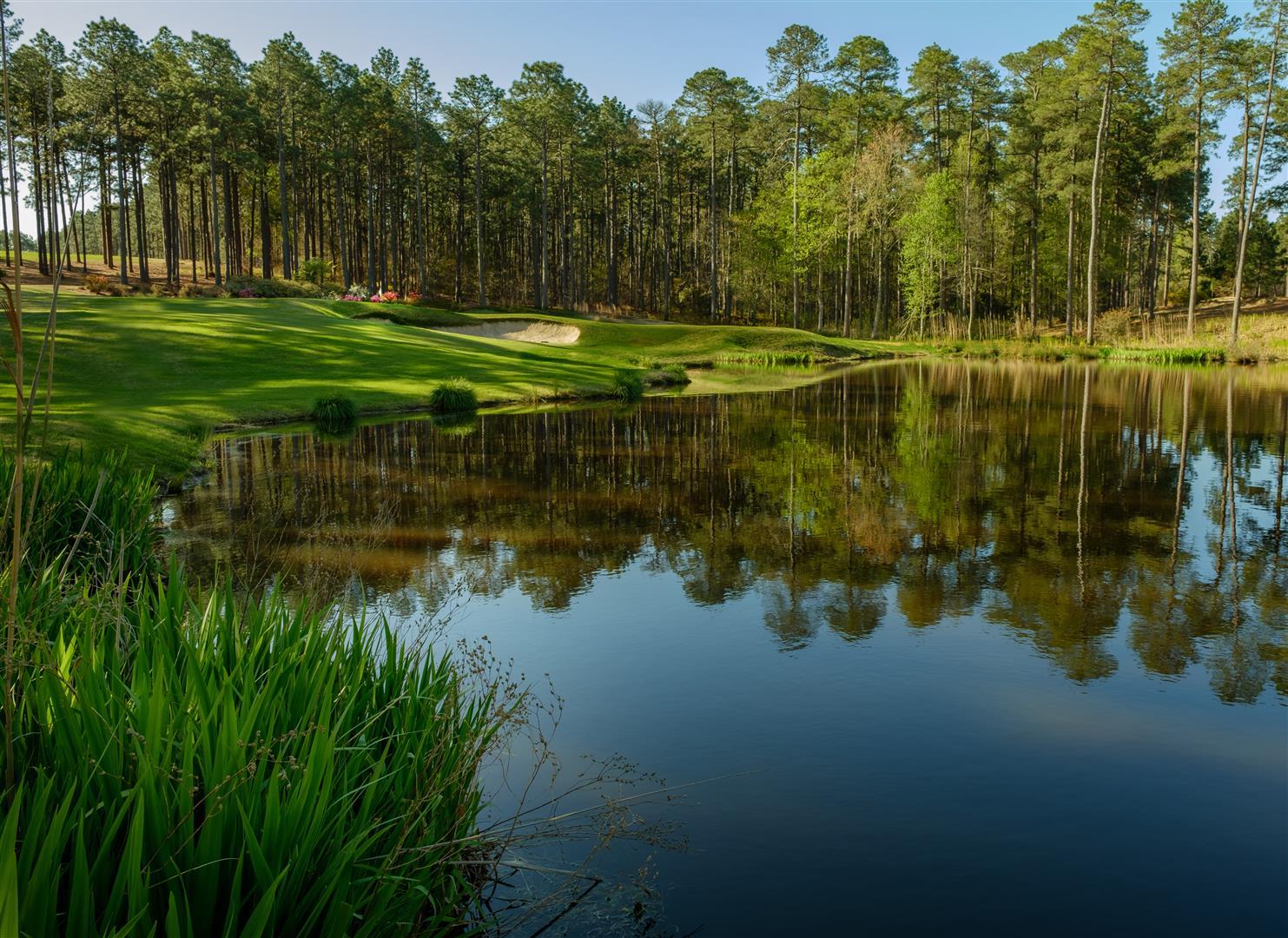 forestcreekgolfclub.com — Men's One-Day Member-Guest