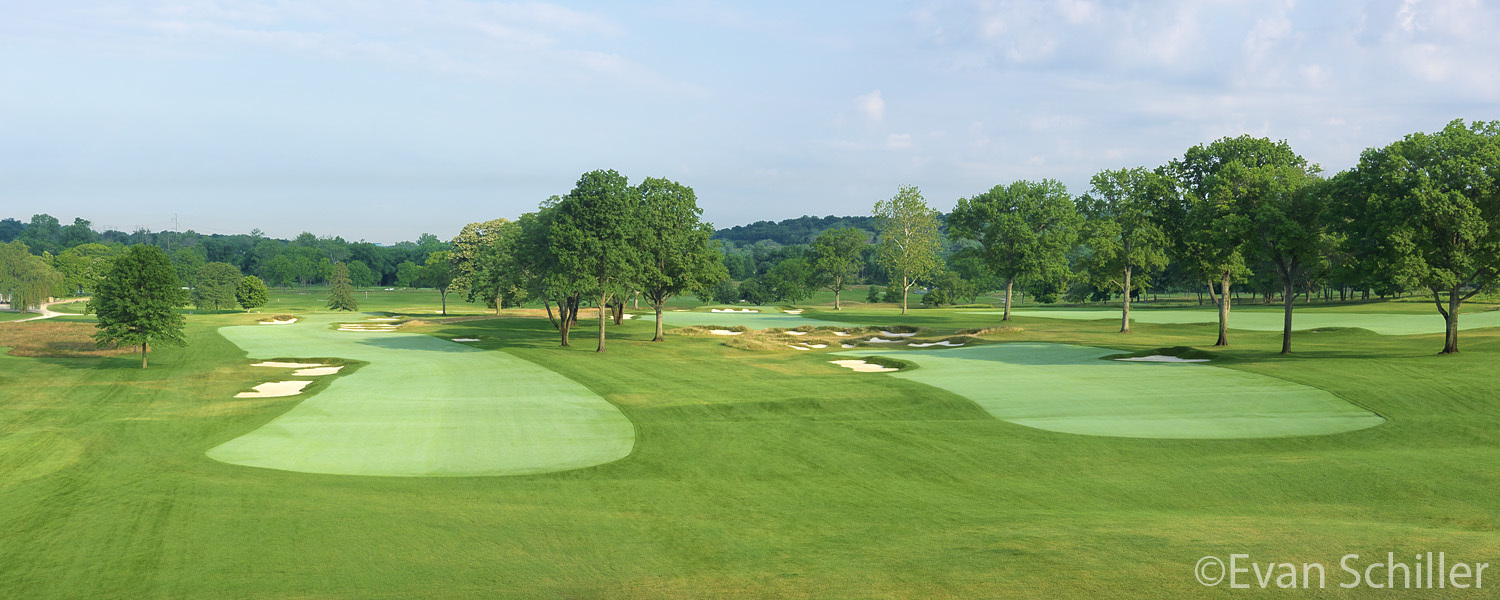 philacricket.com — Mixed Member Guest
