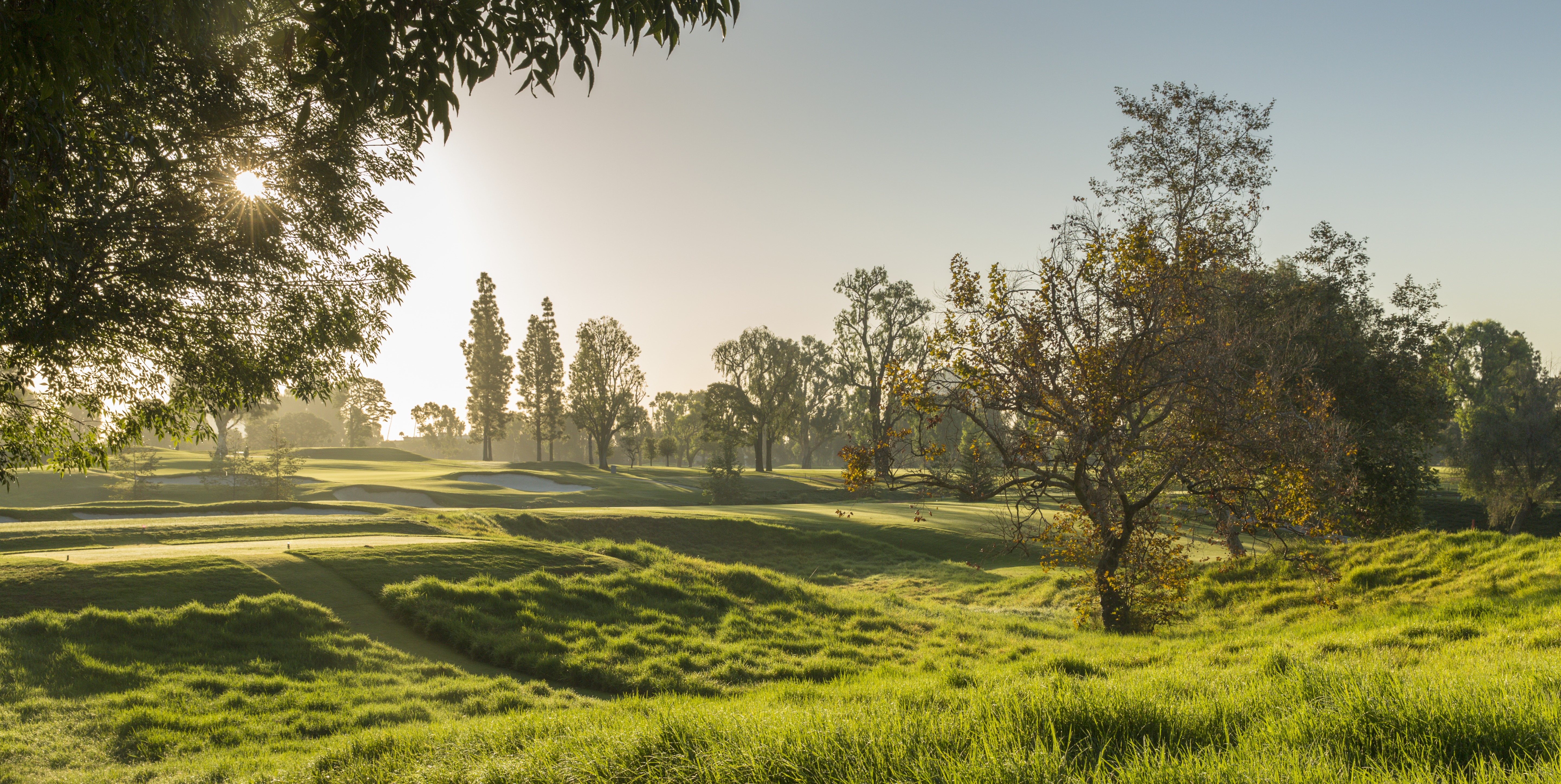 brentwoodcc.net — Centennial Member-Guest