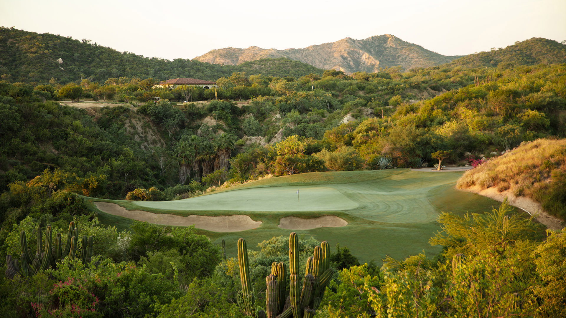 qcabo.com — Blue Agave Member - Guest