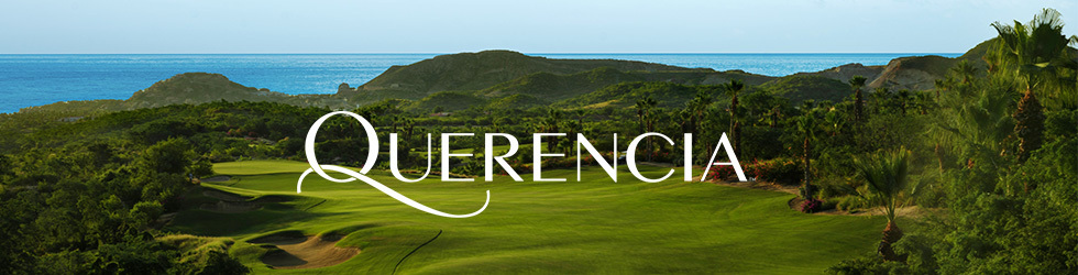 qcabo.com — Blue Agave Member - Guest