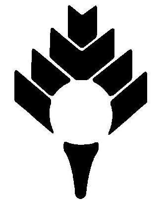 ccofcastlepines.com logo